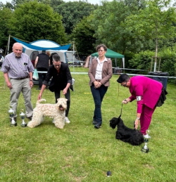 Emil OG Dorsten BOB+BNL_2 (002)