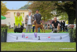 Huntings Moon BIG-2 Luzern