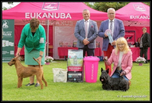 Huntings Moon BIS Osthofen